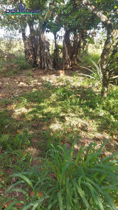 Imagem Chácara com 4 Quartos à Venda, 5.000 m² em Viamão Imagem Chácara com 4 Quartos à Venda, 5.000 m² em Viamão