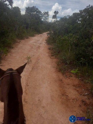 Imagem Fazenda à Venda, 480 m² em Zona Rural - Guiratinga Imagem Fazenda à Venda, 480 m² em Zona Rural - Guiratinga