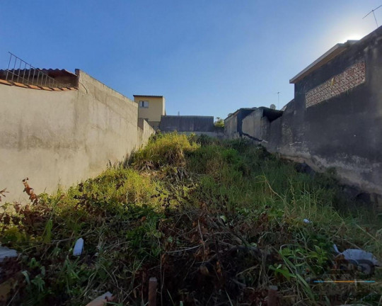 Imagem Terreno à Venda, 125 m² em Cidade Nova São Miguel - São Paulo