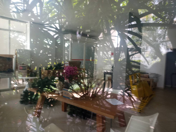 Imagem Apartamento com 3 Quartos à Venda, 56 m² em Aclimação - São Paulo