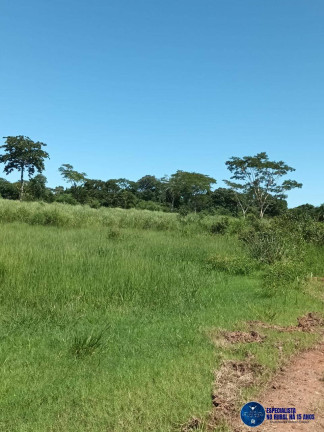 Imagem Fazenda à Venda, 200 m² em Zona Rural - Uirapuru Imagem Fazenda à Venda, 200 m² em Zona Rural - Uirapuru