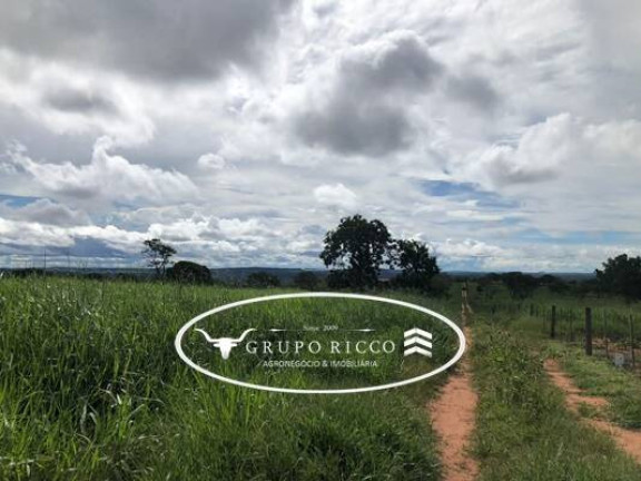 Imagem Fazenda à Venda, em Zona Rural - Guiratinga Imagem Fazenda à Venda, em Zona Rural - Guiratinga