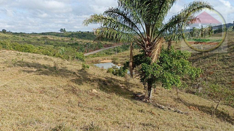 Imagem Fazenda à Venda, 2.032.800 m² em Br-230, Itupiranga - Pa, 68580-000, Brasil -5.024794, -49.459885 - Itupiranga Imagem Fazenda à Venda, 2.032.800 m² em Br-230, Itupiranga - Pa, 68580-000, Brasil -5.024794, -49.459885 - Itupiranga