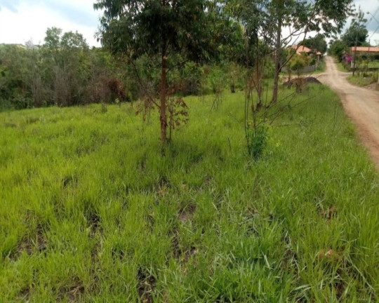 Imagem Terreno à Venda, em Serra Italiana - Pardinho Imagem Terreno à Venda, em Serra Italiana - Pardinho