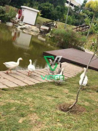 Imagem Apartamento com 2 Quartos à Venda, 46 m² em Colônia Rio Grande - São José Dos Pinhais Imagem Apartamento com 2 Quartos à Venda, 46 m² em Colônia Rio Grande - São José Dos Pinhais