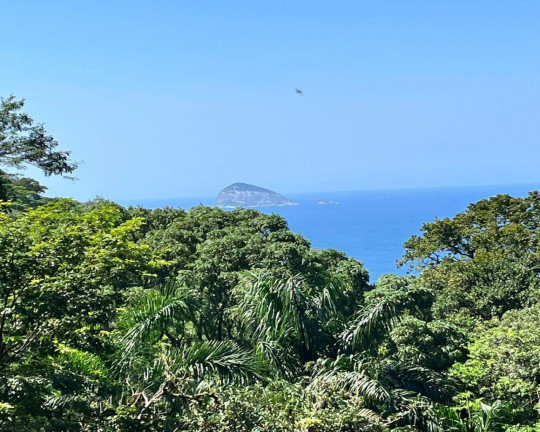 Imagem Casa com 4 Quartos à Venda, 250 m² em São Conrado - Rio De Janeiro