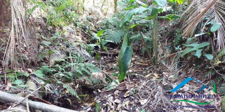 Imagem Chácara à Venda, 155 m² em Centro - Paraisópolis Imagem Chácara à Venda, 155 m² em Centro - Paraisópolis