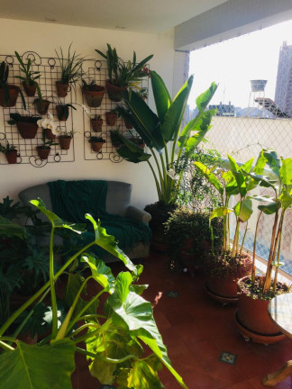 Imagem Apartamento com 3 Quartos à Venda, 126 m² em Alto Da Lapa - São Paulo