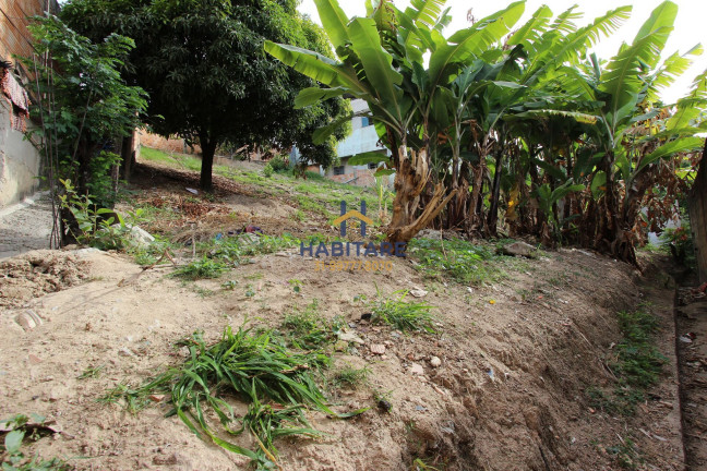 Imagem Terreno à Venda, 374 m² em Palmares - 1ª Seção (parque Durval De Barros) - Ibirité Imagem Terreno à Venda, 374 m² em Palmares - 1ª Seção (parque Durval De Barros) - Ibirité