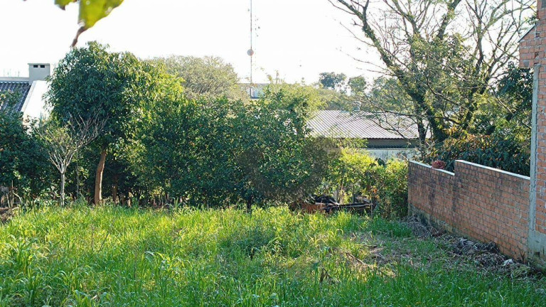 Imagem Terreno à Venda, 558 m² em Monte Verde - Santa Cruz Do Sul Imagem Terreno à Venda, 558 m² em Monte Verde - Santa Cruz Do Sul