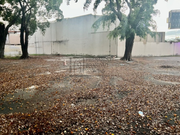 Imagem Terreno para Alugar, 1.850 m² em Barra Da Tijuca - Rio De Janeiro Imagem Terreno para Alugar, 1.850 m² em Barra Da Tijuca - Rio De Janeiro