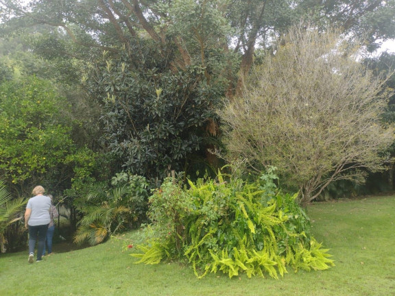 Imagem Chácara com 3 Quartos à Venda, 100 m² em Zona Rural - São Luíz Do Paraitinga Imagem Chácara com 3 Quartos à Venda, 100 m² em Zona Rural - São Luíz Do Paraitinga