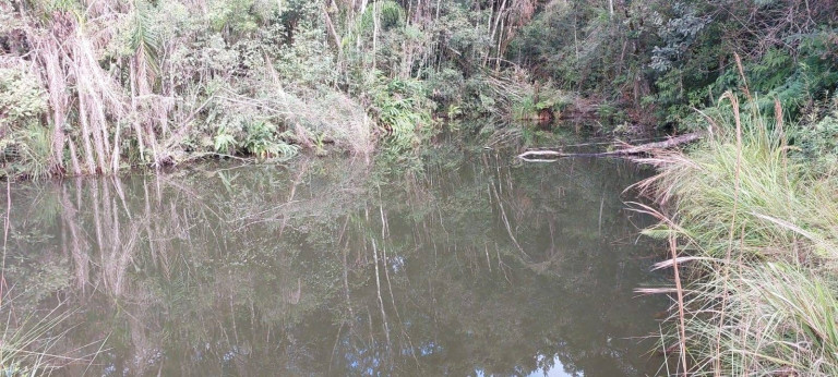 Imagem Chácara com 2 Quartos à Venda, 1 m² em Bateias - Campo Largo