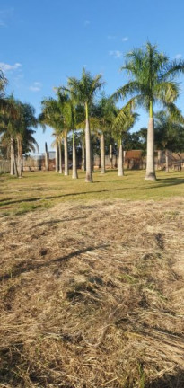 Imagem Imóvel à Venda, 2.300 m² em Gleba Fazenda Palhano - Londrina Imagem Imóvel à Venda, 2.300 m² em Gleba Fazenda Palhano - Londrina