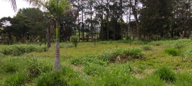Imagem Fazenda à Venda, 150 m² em Parque Das Alamedas - Guaratinguetá