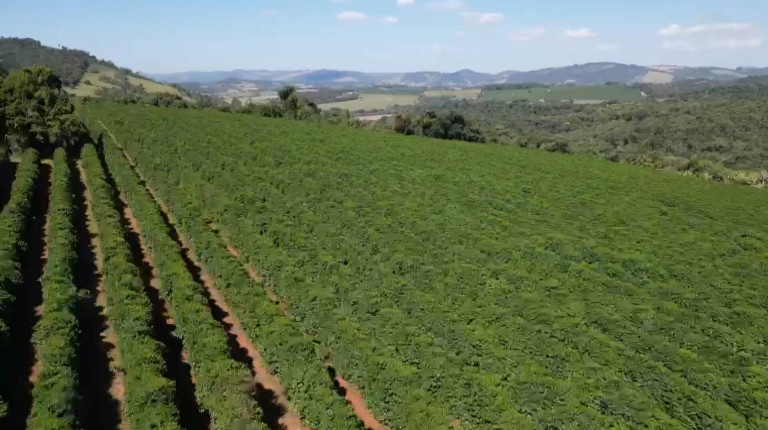 Imagem Fazenda à Venda, 145 m² em Alpinópolis Imagem Fazenda à Venda, 145 m² em Alpinópolis
