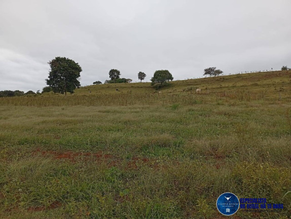 Imagem Fazenda à Venda, 33 m² em Zona Rural - Caiapônia Imagem Fazenda à Venda, 33 m² em Zona Rural - Caiapônia
