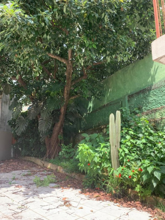 Imagem Casa com 3 Quartos à Venda ou Locação, 250 m² em Vila Mariana - São Paulo Imagem Casa com 3 Quartos à Venda ou Locação, 250 m² em Vila Mariana - São Paulo