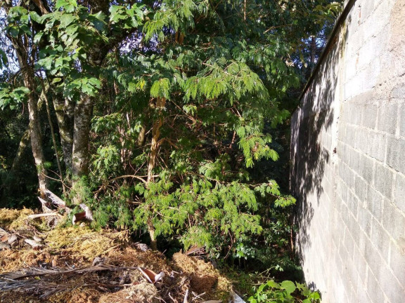 Imagem Terreno à Venda, 1 m² em Atibaia Imagem Terreno à Venda, 1 m² em Atibaia