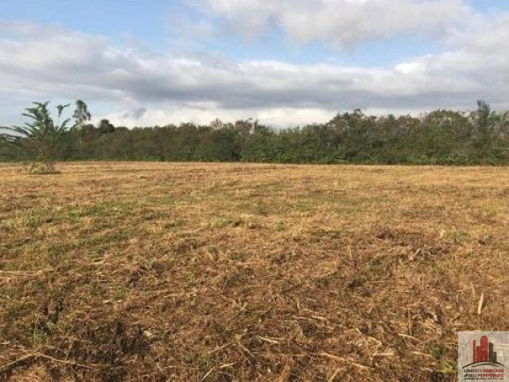 Imagem Terreno à Venda, 50.000 m² em Aldeia Dos Camarás - Camaragibe Imagem Terreno à Venda, 50.000 m² em Aldeia Dos Camarás - Camaragibe