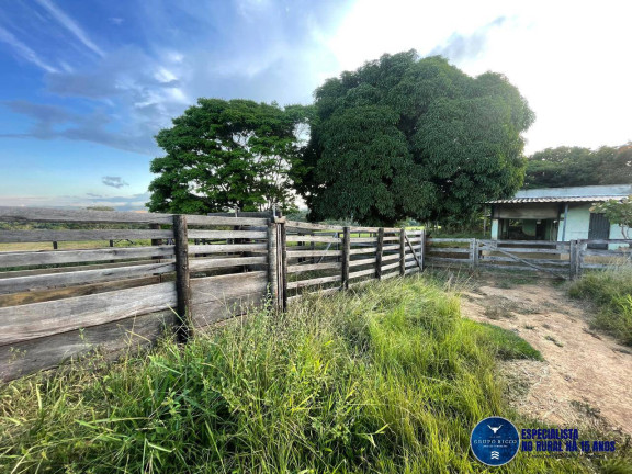 Imagem Chácara à Venda, 10 m² em Zona Rural - Goiás Imagem Chácara à Venda, 10 m² em Zona Rural - Goiás
