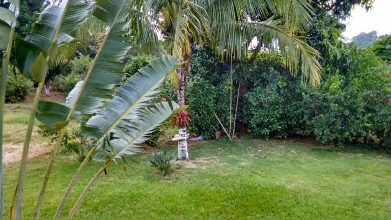 Imagem Imóvel com 2 Quartos à Venda, 500 m² em Rural - Limeira Imagem Imóvel com 2 Quartos à Venda, 500 m² em Rural - Limeira