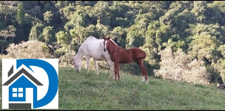 Imagem Chácara com 2 Quartos à Venda, 7 m² em Rural - Itapetininga Imagem Chácara com 2 Quartos à Venda, 7 m² em Rural - Itapetininga