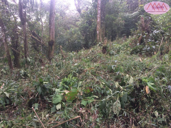 Imagem Terreno à Venda, 1.695 m² em Chácara Carreiras - Santo André