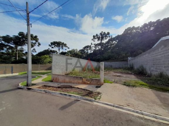 Imagem Terreno à Venda, 271 m² em São Cristovão - Guarapuava Imagem Terreno à Venda, 271 m² em São Cristovão - Guarapuava