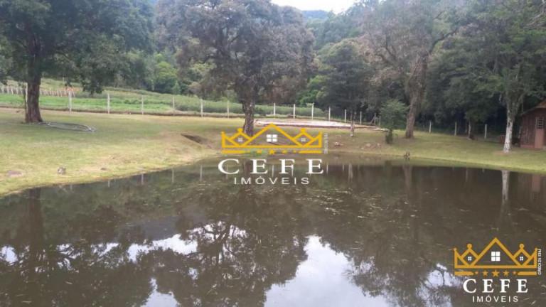 Imagem Sala Comercial à Venda, 20 m² em Boa Vista - São Francisco De Paula