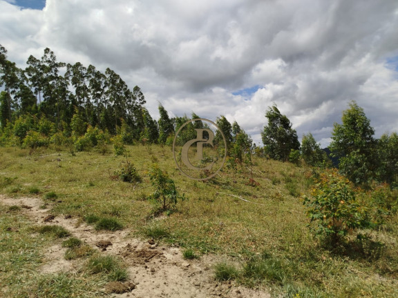 Imagem Chácara à Venda, em Natividade Da Serra - Natividade Da Serra Imagem Chácara à Venda, em Natividade Da Serra - Natividade Da Serra