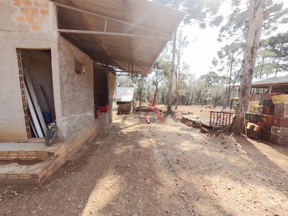 Imagem Fazenda à Venda, 24.200 m² em Morro Alto - Guarapuava Imagem Fazenda à Venda, 24.200 m² em Morro Alto - Guarapuava