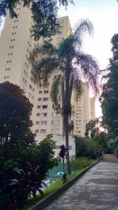 Imagem Apartamento com 2 Quartos à Venda, 52 m² em Jardim Regina - São Paulo Imagem Apartamento com 2 Quartos à Venda, 52 m² em Jardim Regina - São Paulo