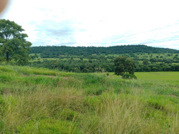 Imagem Chácara à Venda, em Cuiabá Imagem Chácara à Venda, em Cuiabá