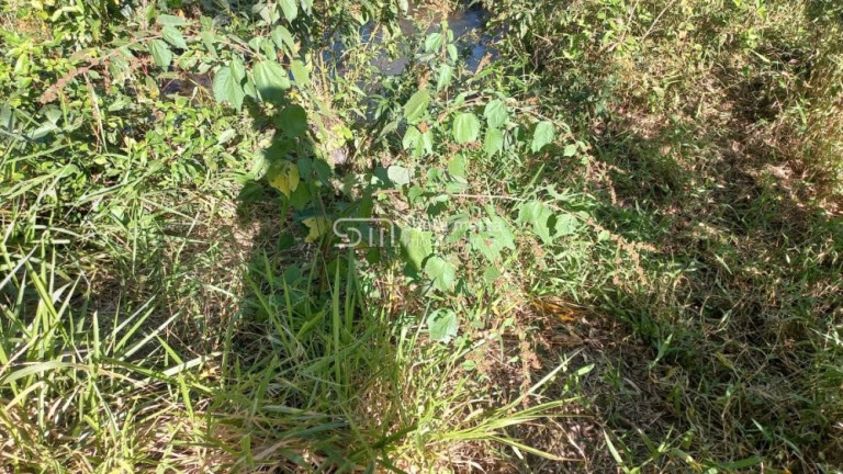 Imagem Imóvel à Venda, 1.477.200 m² em Bairro Bom Retiro - Bananal Imagem Imóvel à Venda, 1.477.200 m² em Bairro Bom Retiro - Bananal
