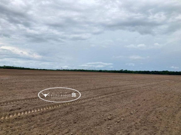 Imagem Fazenda à Venda, 144 m² em Zona Rural - Gurupi Imagem Fazenda à Venda, 144 m² em Zona Rural - Gurupi