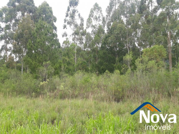 Imagem Imóvel à Venda, 10.211 m² em Linha Araripe - Nova Petrópolis Imagem Imóvel à Venda, 10.211 m² em Linha Araripe - Nova Petrópolis