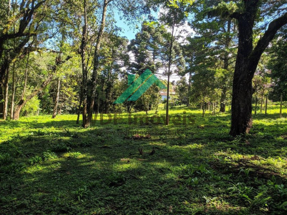 Imagem Terreno à Venda, 1.977 m² em Cachoeira - Curitiba Imagem Terreno à Venda, 1.977 m² em Cachoeira - Curitiba