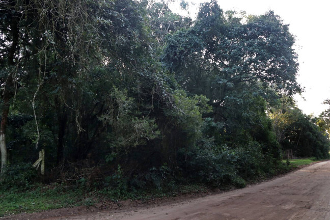 Imagem Terreno à Venda, 1.350 m² em águas Claras - Viamão