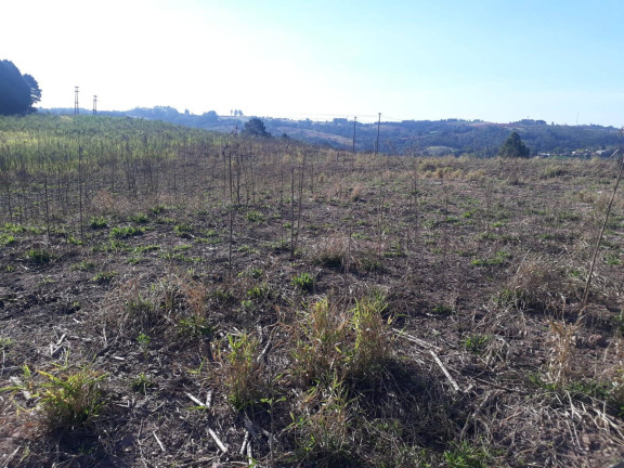 Imagem Terreno à Venda, 28.000 m² em Ortizes - Piedade Imagem Terreno à Venda, 28.000 m² em Ortizes - Piedade