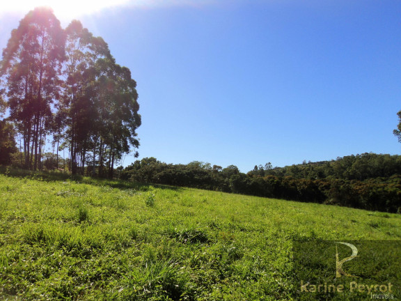 Imagem Terreno à Venda, 3.000 m² em Fazenda São Borja - São Leopoldo