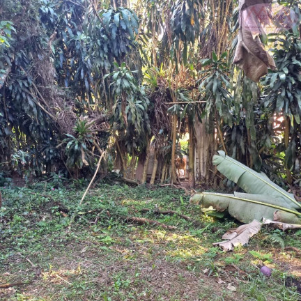 Imagem Imóvel com 6 Quartos à Venda, 54 m² em Bairro Oasis Paulista - Rio Grande Da Serra