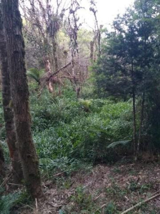 Imagem Terreno à Venda, 9.100 m² em Campestre Da Faxina - São José Dos Pinhais