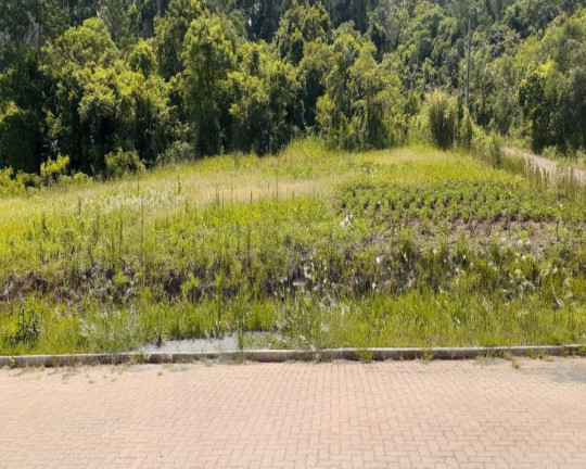 Imagem Imóvel à Venda, 970 m² em Centro - Linha Nova Imagem Imóvel à Venda, 970 m² em Centro - Linha Nova