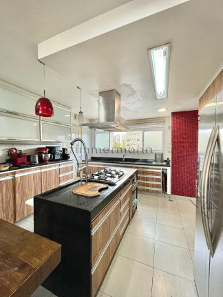 Imagem Apartamento com 4 Quartos à Venda, 213 m² em Cambuci - São Paulo