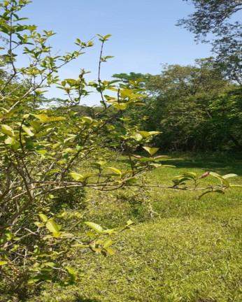 Imagem Imóvel com 1 Quarto à Venda, em Vila Rica - Presidente Lucena Imagem Imóvel com 1 Quarto à Venda, em Vila Rica - Presidente Lucena
