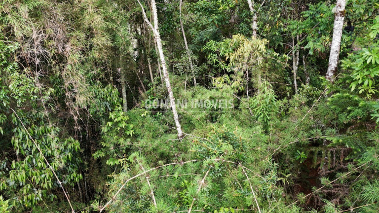 Imagem Terreno à Venda, 1.275 m² em Região Do Parque Pedra Do Baú - Campos Do Jordão Imagem Terreno à Venda, 1.275 m² em Região Do Parque Pedra Do Baú - Campos Do Jordão