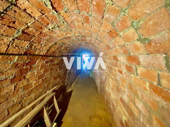 Imagem Fazenda à Venda, 10.000 m² em Vila Rica - Extrema