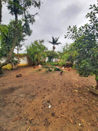 Imagem Casa com 2 Quartos à Venda, 500 m² em Santa Fé - Bom Jesus Dos Perdões