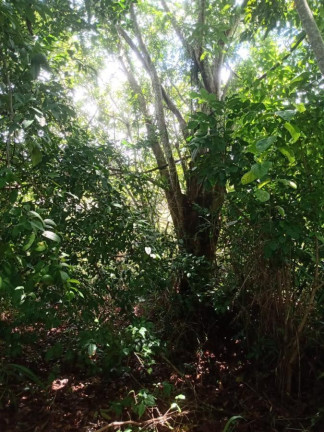 Imagem Terreno à Venda, 950 m² em Gamboa - Vera Cruz